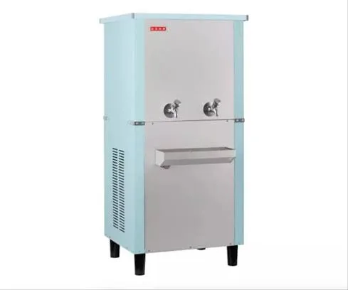 Usha WATER COOLER SS3060